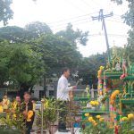 S__6848538